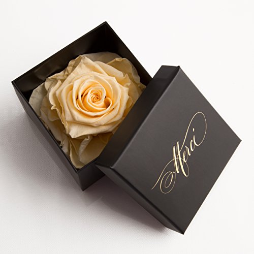Infinity Rose Danke Geschenk Merci von ROSEMARIE SCHULZ Heidelberg (1 Rose, Beige) von ROSEMARIE SCHULZ Heidelberg