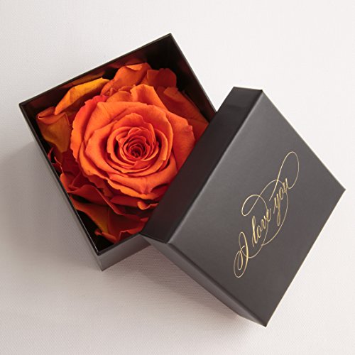 Infinity Rose Orange haltbar 3 Jahre Goldschrift I LOVE YOU schwarze Rosenbox Geschenk für Frauen (1 Rose, Schwarz-Orange) von ROSEMARIE SCHULZ Heidelberg
