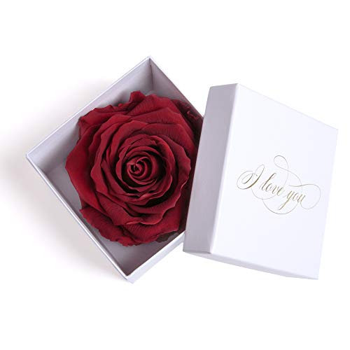 Infinity Rose in Burgundy konserviert weiße Rosenbox mit Goldschrift I LOVE YOU Geschenk für Frauen und Freundin als Liebeserklärung (1 Rose, Weiß-Dunkelrot) von ROSEMARIE SCHULZ Heidelberg