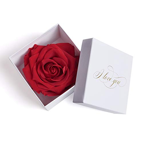 Infinity Rose in Rot konserviert weiße Rosenbox mit Goldschrift I LOVE YOU Geschenk für Frauen und Freundin als Liebesbeweis (1 Rose, Weiß-Rot) von ROSEMARIE SCHULZ Heidelberg