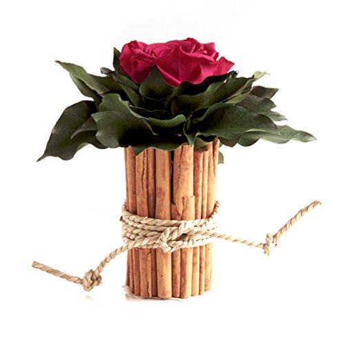 ROSEMARIE SCHULZ Heidelberg 1 Ewige Rose in Vase Zimtstangen konserviert haltbar 3 Jahre Blumen Deko im Landhaus Stil (Pink) von ROSEMARIE SCHULZ Heidelberg