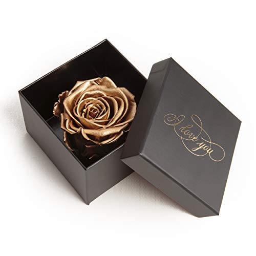 ROSEMARIE SCHULZ Heidelberg Infinity Rose konserviert Rosenbox I Love You ❤ Geschenk für Frauen Weihnachten (1 Rose, Schwarz-Gold) von ROSEMARIE SCHULZ Heidelberg