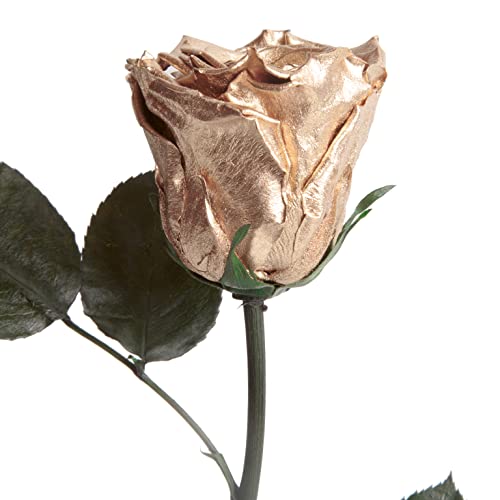 ROSEMARIE SCHULZ Heidelberg Ewige Rose Gold mit Stängel - echte Rose konserviert 30-35cm haltbar 3 Jahre Blumenbox - langlebige Rose 50 Jahre Jubiläum goldene Hochzeit Geschenke (Gold) von ROSEMARIE SCHULZ Heidelberg