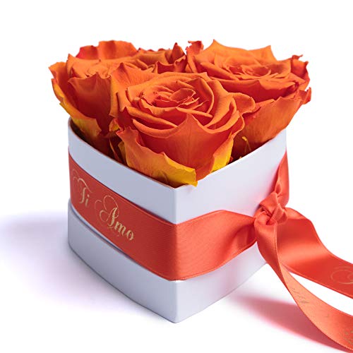 ROSEMARIE SCHULZ Heidelberg Infinity Rosenbox Herz - 10x12cm 3 konservierte Rosen haltbar 3 Jahre Frauen - Beste Freundin Geschenke (Ti Amo, Orange) von ROSEMARIE SCHULZ Heidelberg