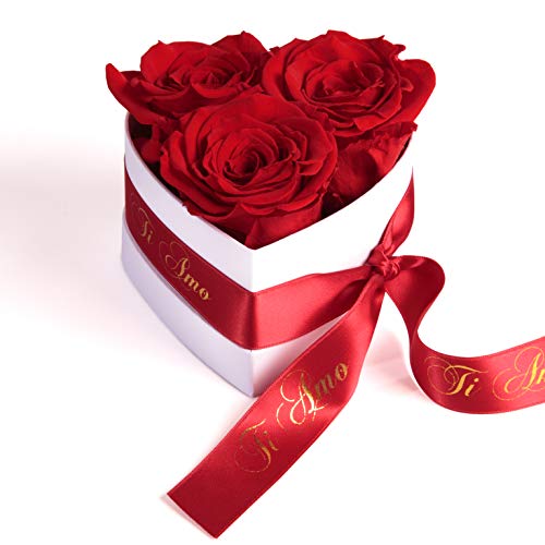 ROSEMARIE SCHULZ Heidelberg Infinity Rosenbox Herz - 10x12cm 3 konservierte Rosen haltbar 3 Jahre Frauen - Beste Freundin Geschenke (Ti Amo, Rot) von ROSEMARIE SCHULZ Heidelberg