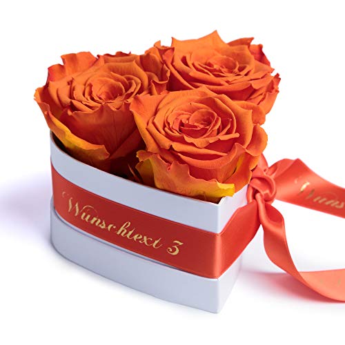 ROSEMARIE SCHULZ Heidelberg Infinity Rosenbox Herz Wunschtext personalisiert - 3 ewige Rosen orange in Box 10x12cm haltbar 3 Jahre - persönliche Beste Freundin Geschenke (Wunschtext, Orange) von ROSEMARIE SCHULZ Heidelberg