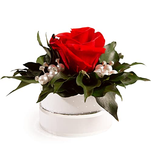 ROSEMARIE SCHULZ Heidelberg Infinity Rosenbox Kristall und Perlen 1 echte Rose haltbar Mama Geschenk Muttertag (Rot) von ROSEMARIE SCHULZ Heidelberg