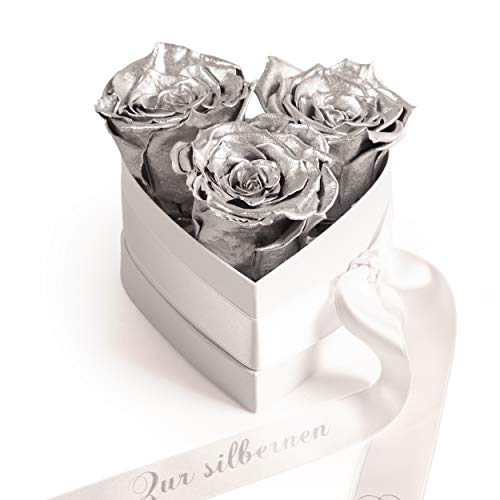 Infinity Rosenbox Silberhochzeit Geschenk Herzform Rosenherz konserviert Jubiläum 25 Jahre (Silber, 3 Infinity Rosen) von ROSEMARIE SCHULZ Heidelberg