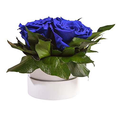 ROSEMARIE SCHULZ Heidelberg Infinity Rosenbox weiß rund konservierte Blumen Blau- 3 Infinity Rosen Durchmesser 15 cm - Geschenkidee für Frauen (Blau, Medium) von ROSEMARIE SCHULZ Heidelberg