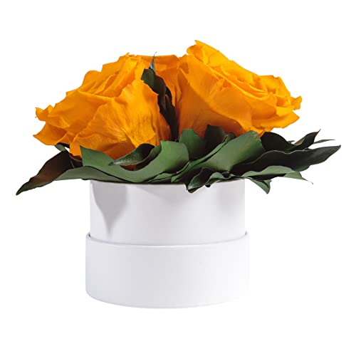 ROSEMARIE SCHULZ Heidelberg Infinity Rosenbox weiß rund konservierte Blumen Gelb - 3 Infinity Rosen Durchmesser 15 cm - Geschenk für Frauen (Gelb, Medium) von ROSEMARIE SCHULZ Heidelberg