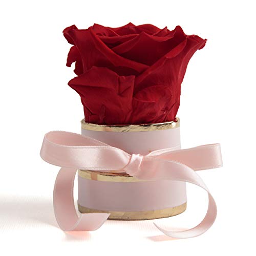 ROSEMARIE SCHULZ Heidelberg Kleine Rosenbox rosa rund Infinity Rose - Blumenbox 1 echte Blume konserviert haltbar 3 Jahre Höhe ca. 8 cm - keines Geschenk für Frauen (Rosa-Rot) von ROSEMARIE SCHULZ Heidelberg