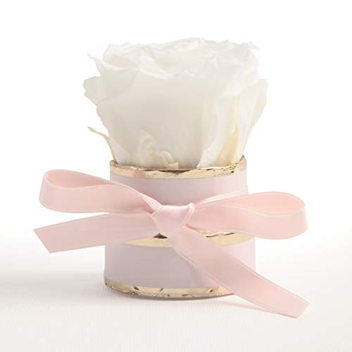 ROSEMARIE SCHULZ Heidelberg Kleine Rosenbox rosa rund Infinity Rose - Blumenbox 1 echte Blume konserviert haltbar 3 Jahre Höhe ca. 8 cm - keines Geschenk für Frauen (Rosa-Weiß) von ROSEMARIE SCHULZ Heidelberg