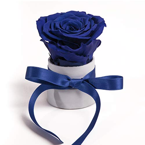 ROSEMARIE SCHULZ Heidelberg Kleine Rosenbox weiß rund Infinity Rose - Blumenbox 1 echte Blume konserviert haltbar 3 Jahre Höhe ca. 8 cm - keines Geschenk für Frauen (Weiß-Blau) von ROSEMARIE SCHULZ Heidelberg