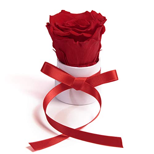 ROSEMARIE SCHULZ Heidelberg Kleine Rosenbox weiß rund Infinity Rose - Blumenbox 1 echte Blume konserviert haltbar 3 Jahre Höhe ca. 8 cm - keines Geschenk für Frauen (Weiß-Rot) von ROSEMARIE SCHULZ Heidelberg