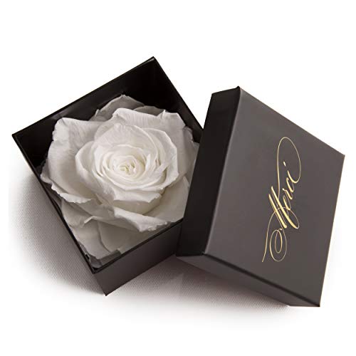 Konservierte Rose 3 Jahre haltbar Geschenkbox Danksagung Meric-Rose Rosengesteck von ROSEMARIE SCHULZ Heidelberg (1 Rose, Weiß) von ROSEMARIE SCHULZ Heidelberg