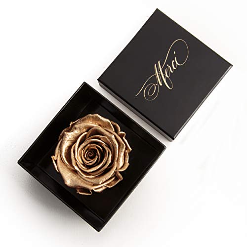 Konservierte Rose Gold farbend 3 Jahre haltbar Geschenkbox Goldrose Merci (1 Rose, Gold) von ROSEMARIE SCHULZ Heidelberg