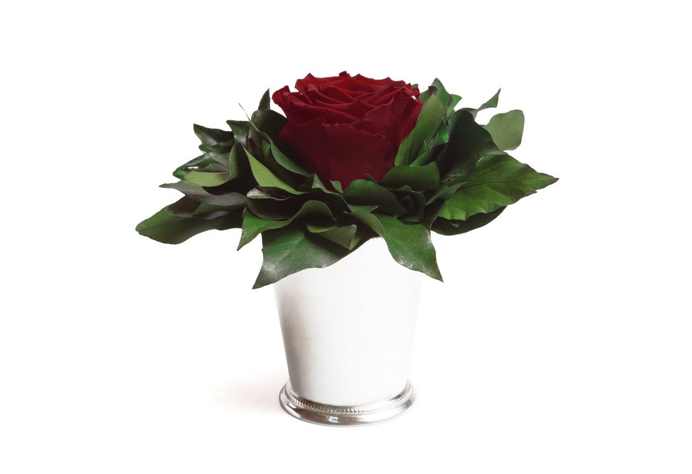 Künstliche Zimmerpflanze 1 Infinity Blume Becher silberfarben Geschenkidee für Frauen Rose, ROSEMARIE SCHULZ Heidelberg, Höhe 12 cm, Echte Rose lange haltbar, Made in Germany von ROSEMARIE SCHULZ Heidelberg