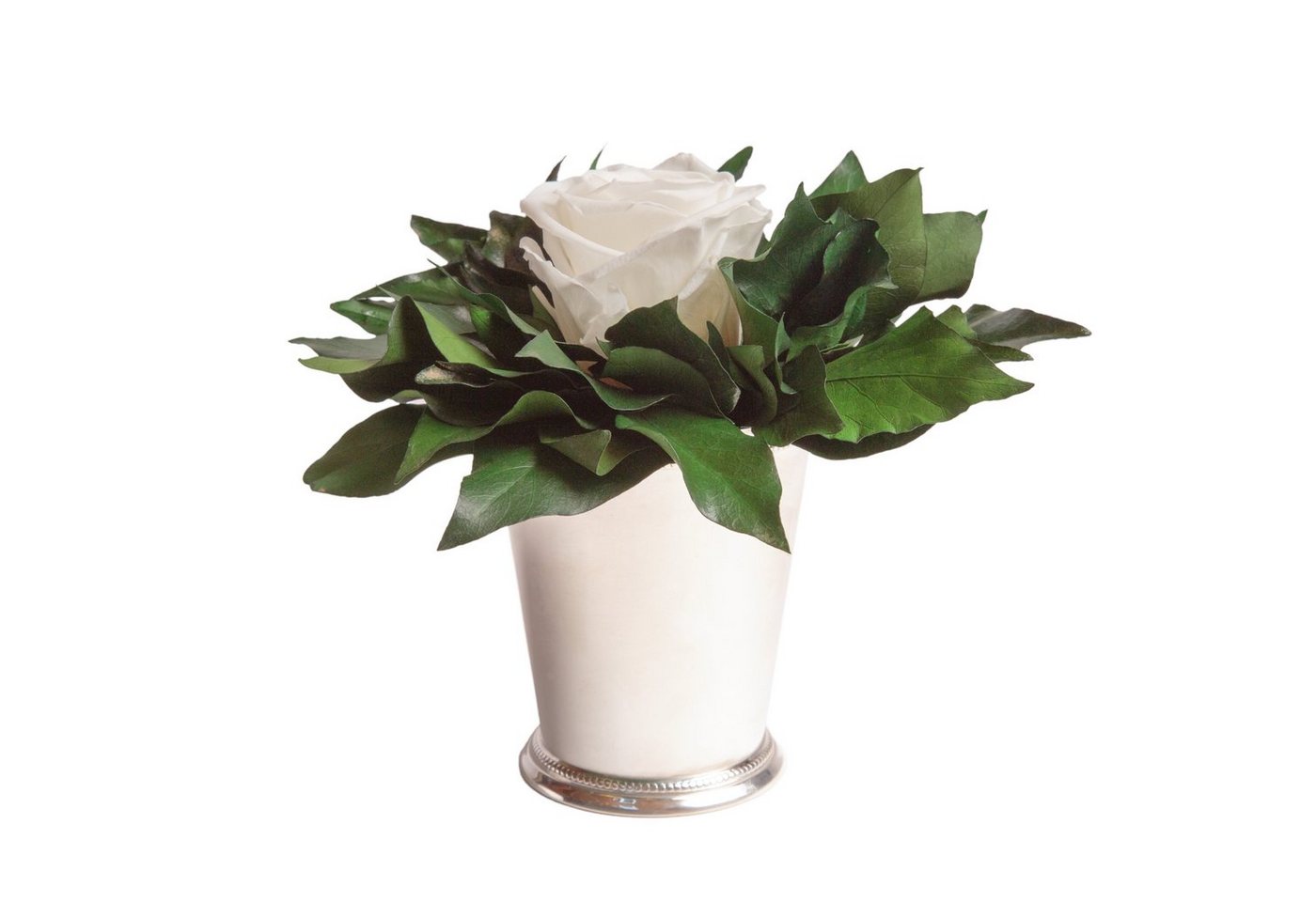 Künstliche Zimmerpflanze 1 Infinity Blume Becher silberfarben Geschenkidee für Frauen Rose, ROSEMARIE SCHULZ Heidelberg, Höhe 12 cm, Echte Rose lange haltbar, Made in Germany Künstliche Zimmerpflanze 1 Infinity Blume Becher silberfarben Geschenkidee für Frauen Rose, ROSEMARIE SCHULZ Heidelberg, Höhe 12 cm, Echte Rose lange haltbar, Made in Germany von ROSEMARIE SCHULZ Heidelberg