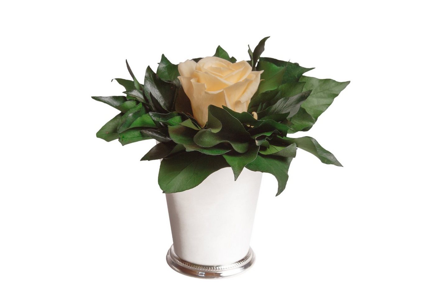 Künstliche Zimmerpflanze 1 Infinity Blume Becher silberfarben Geschenkidee für Frauen Rose, ROSEMARIE SCHULZ Heidelberg, Höhe 12 cm, Echte Rose lange haltbar von ROSEMARIE SCHULZ Heidelberg