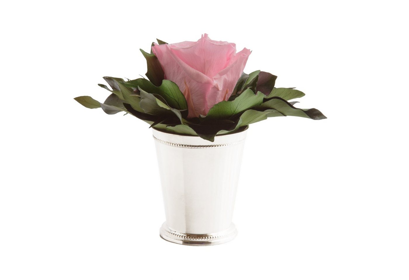 Künstliche Zimmerpflanze 1 Infinity Blume Becher silberfarben Geschenkidee für Frauen Rose, ROSEMARIE SCHULZ Heidelberg, Höhe 12 cm, Echte Rose lange haltbar von ROSEMARIE SCHULZ Heidelberg