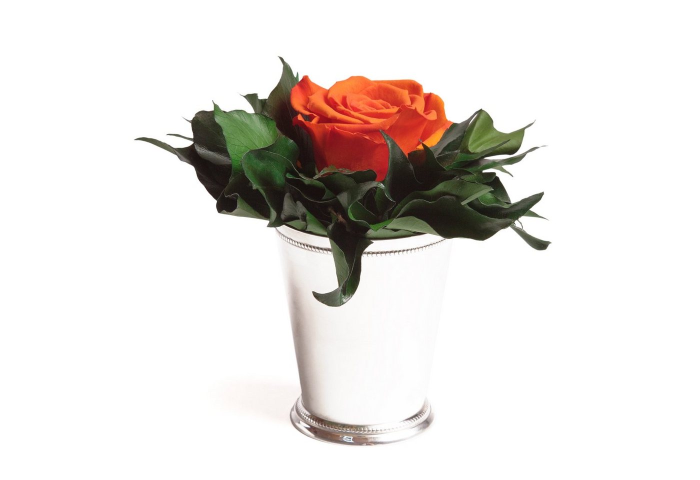 Künstliche Zimmerpflanze 1 Infinity Blume Becher silberfarben Geschenkidee für Frauen Rose, ROSEMARIE SCHULZ Heidelberg, Höhe 12 cm, Echte Rose lange haltbar von ROSEMARIE SCHULZ Heidelberg