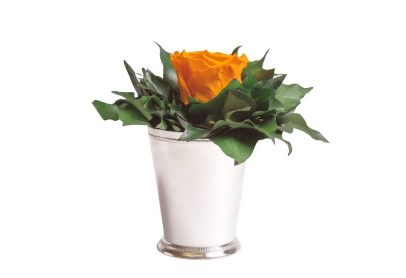 Kunstblumenstrauß Blumengesteck 1 Infinity Rose Becher silberfarben Geschenk für Frauen Rose, ROSEMARIE SCHULZ Heidelberg, Höhe 12 cm, Echte Rose lange haltbar, Made in Germany Kunstblumenstrauß Blumengesteck 1 Infinity Rose Becher silberfarben Geschenk für Frauen Rose, ROSEMARIE SCHULZ Heidelberg, Höhe 12 cm, Echte Rose lange haltbar, Made in Germany von ROSEMARIE SCHULZ Heidelberg