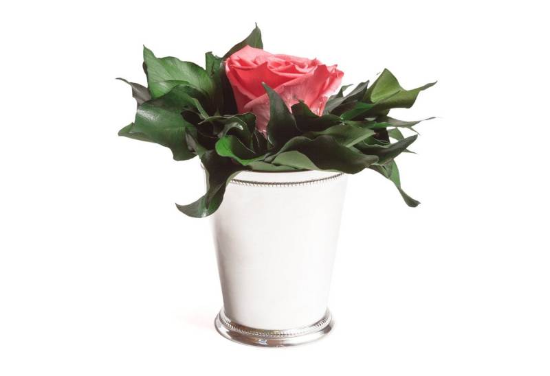 Kunstblumenstrauß Blumengesteck 1 Infinity Rose Becher silberfarben Geschenk für Frauen Rose, ROSEMARIE SCHULZ Heidelberg, Höhe 12 cm, Echte Rose lange haltbar, Made in Germany von ROSEMARIE SCHULZ Heidelberg