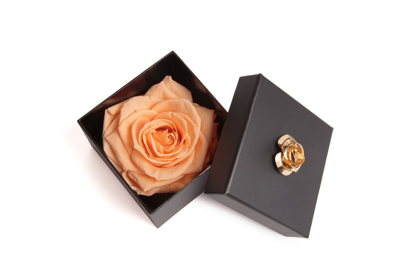 Kunstblume 1 Infinity Rose haltbar 3 Jahre Rose in Box mit Blumendeckel Rose, ROSEMARIE SCHULZ Heidelberg, Höhe 6.5 cm, Echte Rose haltbar bis zu 3 Jahre von ROSEMARIE SCHULZ Heidelberg