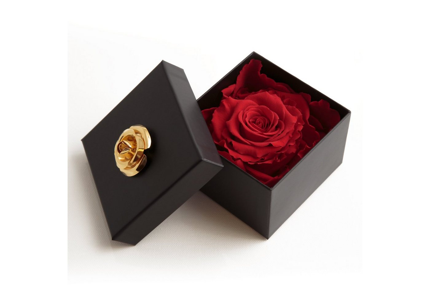 Kunstblume 1 Infinity Rose haltbar 3 Jahre Rose in Box mit Blumendeckel Rose, ROSEMARIE SCHULZ Heidelberg, Höhe 6.5 cm, Echte Rose haltbar bis zu 3 Jahre von ROSEMARIE SCHULZ Heidelberg