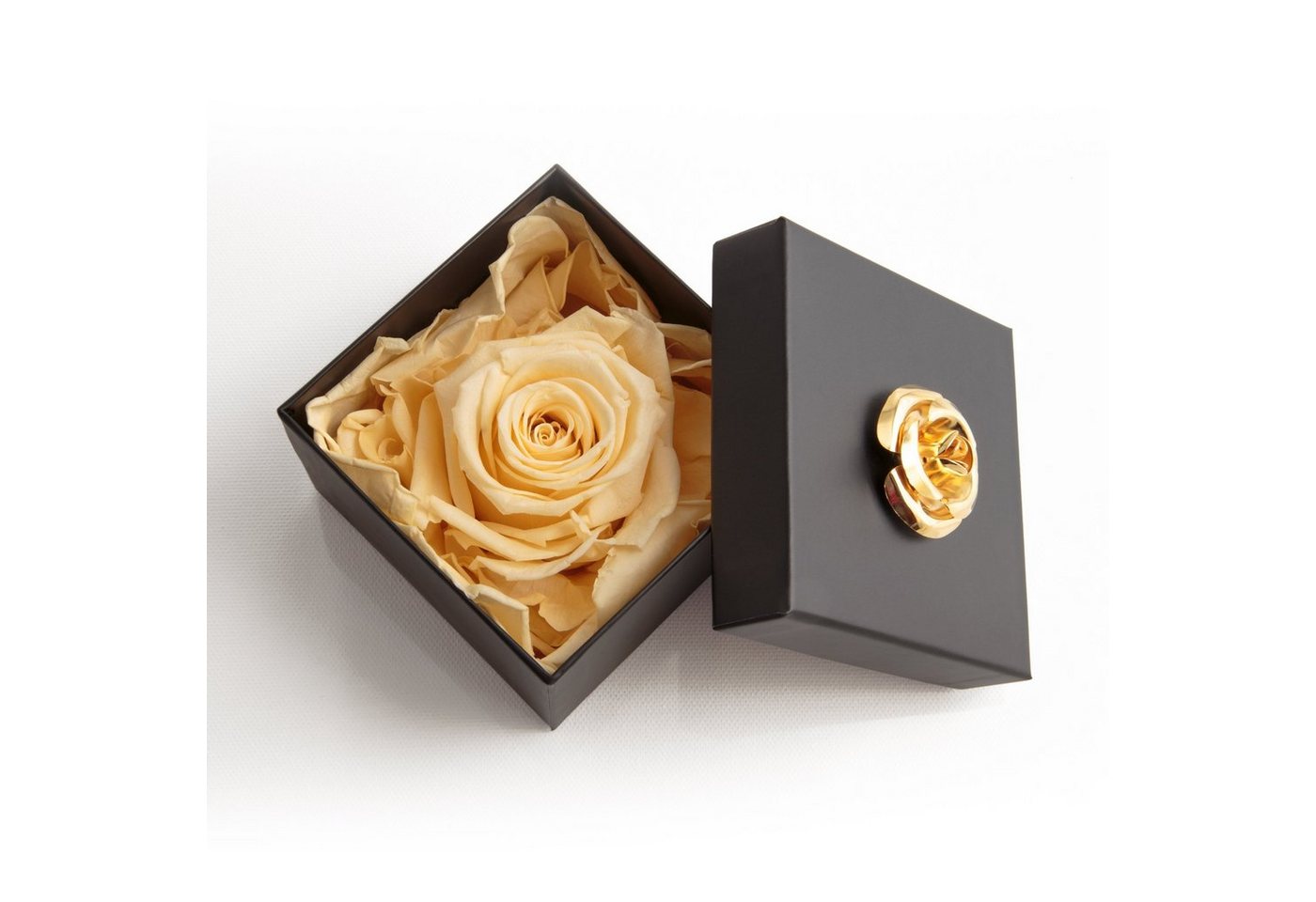 Kunstblume 1 Infinity Rose haltbar 3 Jahre Rose in Box mit Blumendeckel Rose, ROSEMARIE SCHULZ Heidelberg, Höhe 6.5 cm, Echte Rose haltbar bis zu 3 Jahre von ROSEMARIE SCHULZ Heidelberg