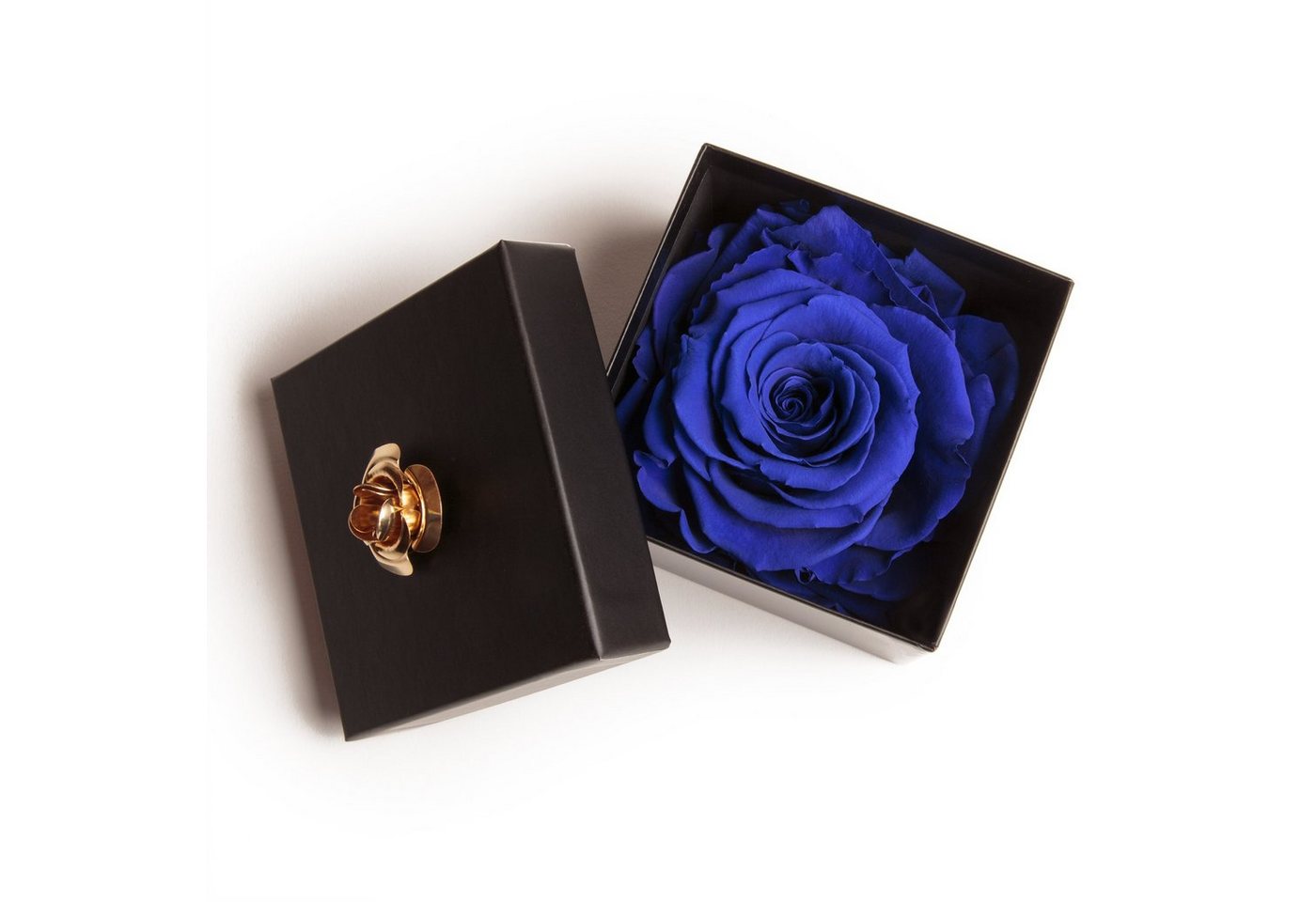 Kunstblume 1 Infinity Rose haltbar 3 Jahre ewige Rose in Box Rose, ROSEMARIE SCHULZ Heidelberg, Höhe 6.5 cm, Echte Rose haltbar bis zu 3 Jahre, Made in Germany Kunstblume 1 Infinity Rose haltbar 3 Jahre ewige Rose in Box Rose, ROSEMARIE SCHULZ Heidelberg, Höhe 6.5 cm, Echte Rose haltbar bis zu 3 Jahre, Made in Germany von ROSEMARIE SCHULZ Heidelberg