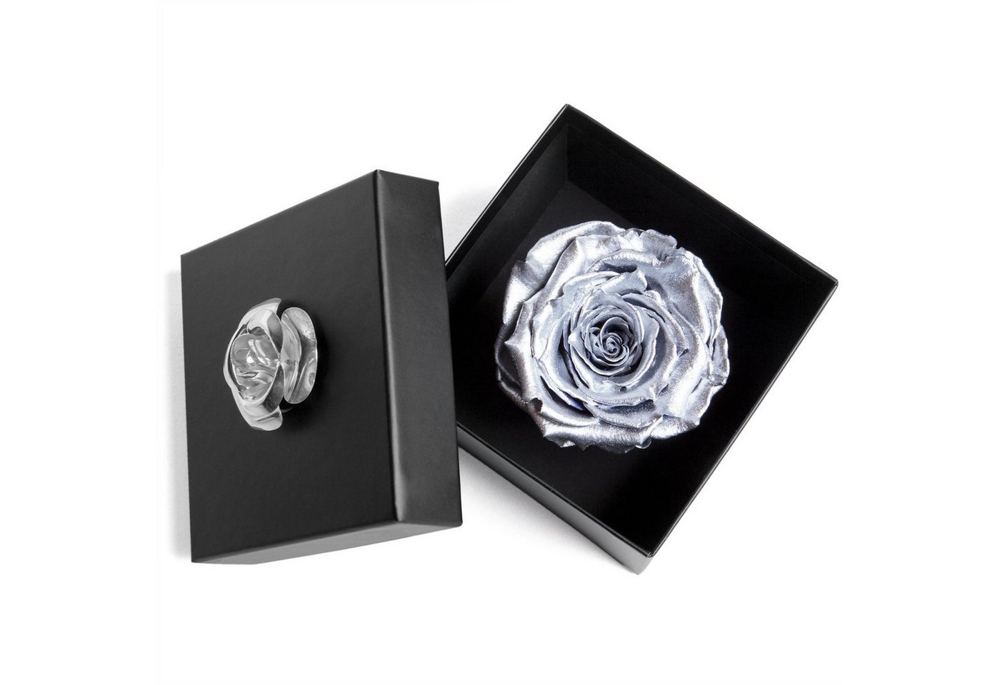 Kunstblume 1 Infinity Rose haltbar 3 Jahre Rose in Box mit Blumendeckel Rose, ROSEMARIE SCHULZ Heidelberg, Höhe 6.5 cm, Echte Rose haltbar bis zu 3 Jahre von ROSEMARIE SCHULZ Heidelberg