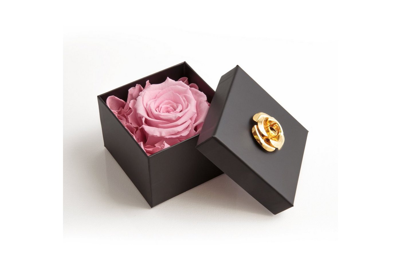 Kunstblume 1 Infinity Rose haltbar 3 Jahre Rose in Box mit Blumendeckel Rose, ROSEMARIE SCHULZ Heidelberg, Höhe 6.5 cm, Echte Rose haltbar bis zu 3 Jahre von ROSEMARIE SCHULZ Heidelberg