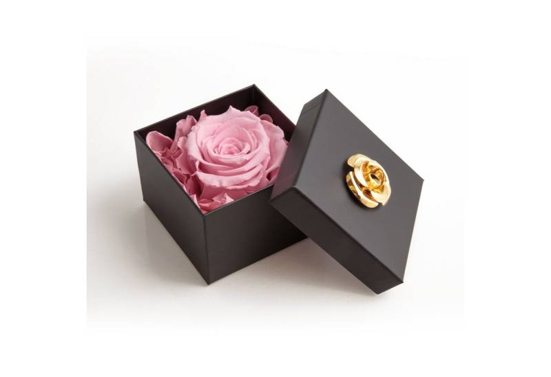 Kunstblume 1 Infinity Rose haltbar 3 Jahre ewige Rose in Box Rose, ROSEMARIE SCHULZ Heidelberg, Höhe 6.5 cm, Echte Rose haltbar bis zu 3 Jahre, Made in Germany von ROSEMARIE SCHULZ Heidelberg