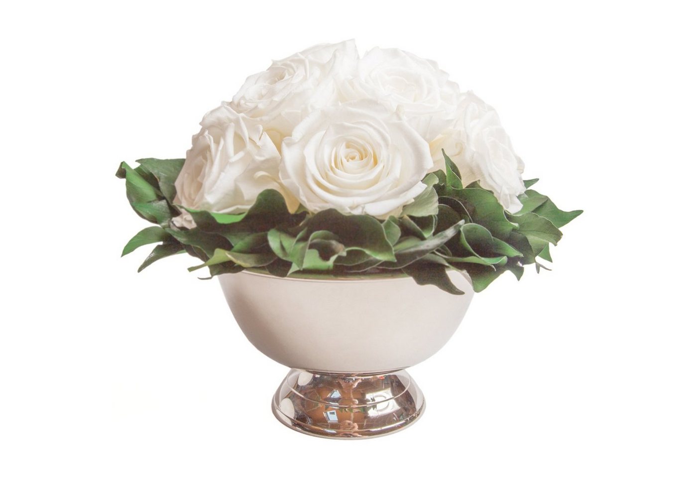 Kunstblume 11 Infinity Rosen in Blumenschale Blumenstrauß Rosenbox Rose, ROSEMARIE SCHULZ Heidelberg, Höhe 18 cm, Echte Blumen 3 Jahre haltbar, Geschenk für Frauen, Made in Germany Kunstblume 11 Infinity Rosen in Blumenschale Blumenstrauß Rosenbox Rose, ROSEMARIE SCHULZ Heidelberg, Höhe 18 cm, Echte Blumen 3 Jahre haltbar, Geschenk für Frauen, Made in Germany von ROSEMARIE SCHULZ Heidelberg