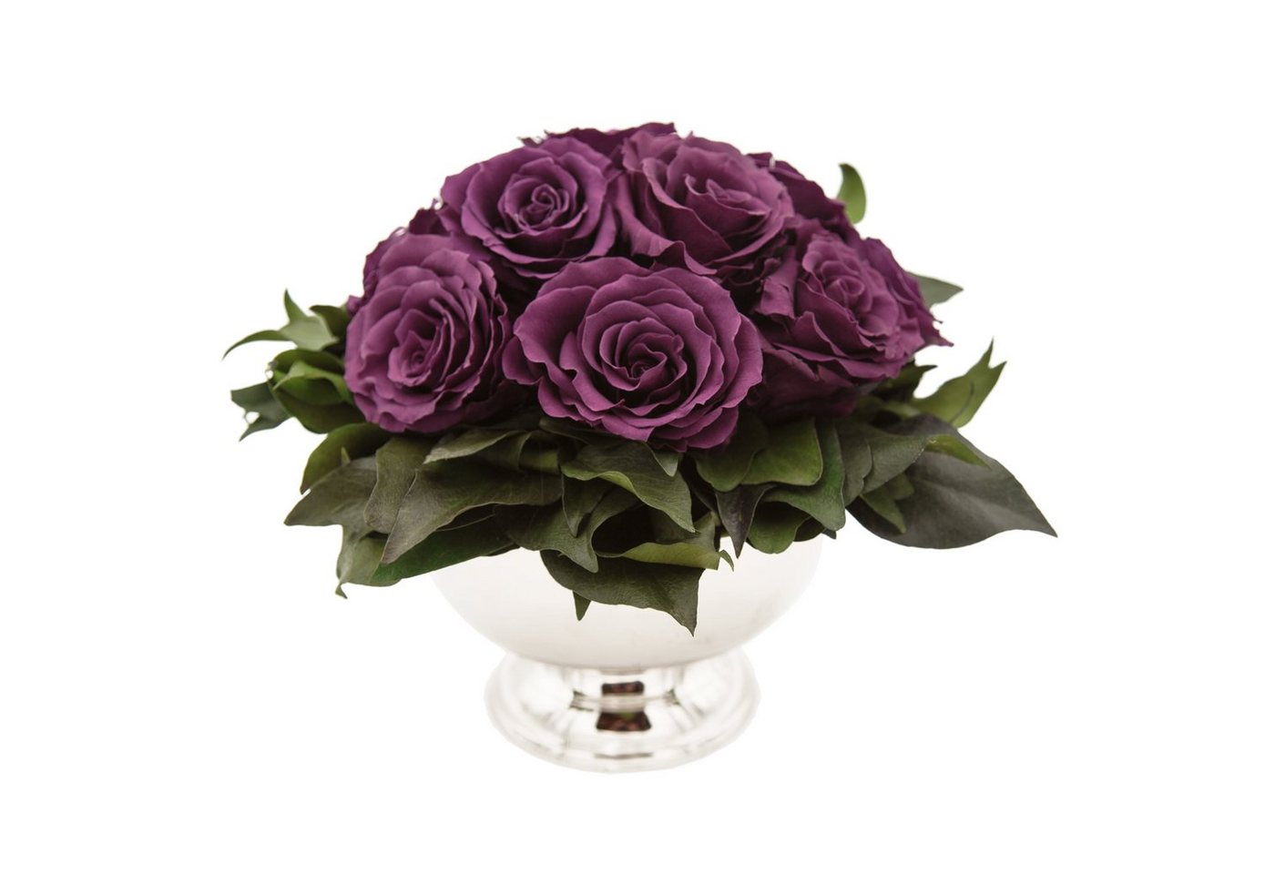 Kunstblume 11 Infinity Rosen in Blumenschale Blumenstrauß Rosenbox Rose, ROSEMARIE SCHULZ Heidelberg, Höhe 18 cm, Echte Blumen 3 Jahre haltbar, Geschenk für Frauen, Made in Germany Kunstblume 11 Infinity Rosen in Blumenschale Blumenstrauß Rosenbox Rose, ROSEMARIE SCHULZ Heidelberg, Höhe 18 cm, Echte Blumen 3 Jahre haltbar, Geschenk für Frauen, Made in Germany von ROSEMARIE SCHULZ Heidelberg