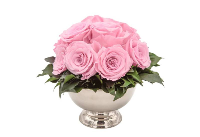 Kunstblume 11 Infinity Rosen in Blumenschale Blumenstrauß Rosenbox Rose, ROSEMARIE SCHULZ Heidelberg, Höhe 18 cm, Echte Blumen 3 Jahre haltbar, Geschenk für Frauen, Made in Germany von ROSEMARIE SCHULZ Heidelberg