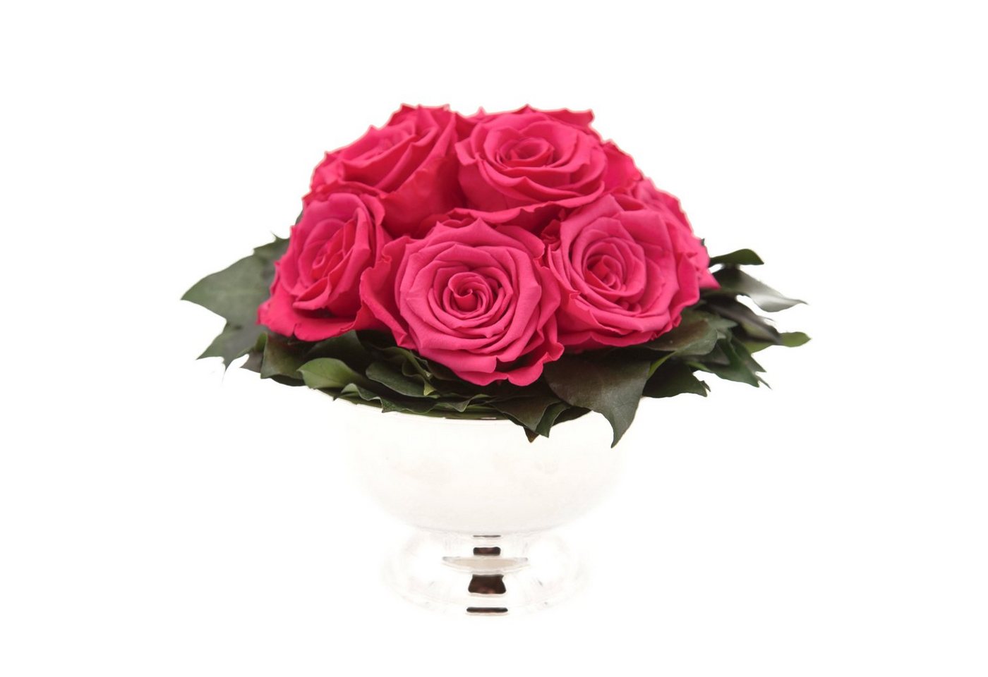 Kunstblume 11 Infinity Rosen in Blumenschale Blumenstrauß Rosenbox Rose, ROSEMARIE SCHULZ Heidelberg, Höhe 18 cm, Echte Blumen 3 Jahre haltbar, Geschenk für Frauen, Made in Germany Kunstblume 11 Infinity Rosen in Blumenschale Blumenstrauß Rosenbox Rose, ROSEMARIE SCHULZ Heidelberg, Höhe 18 cm, Echte Blumen 3 Jahre haltbar, Geschenk für Frauen, Made in Germany von ROSEMARIE SCHULZ Heidelberg