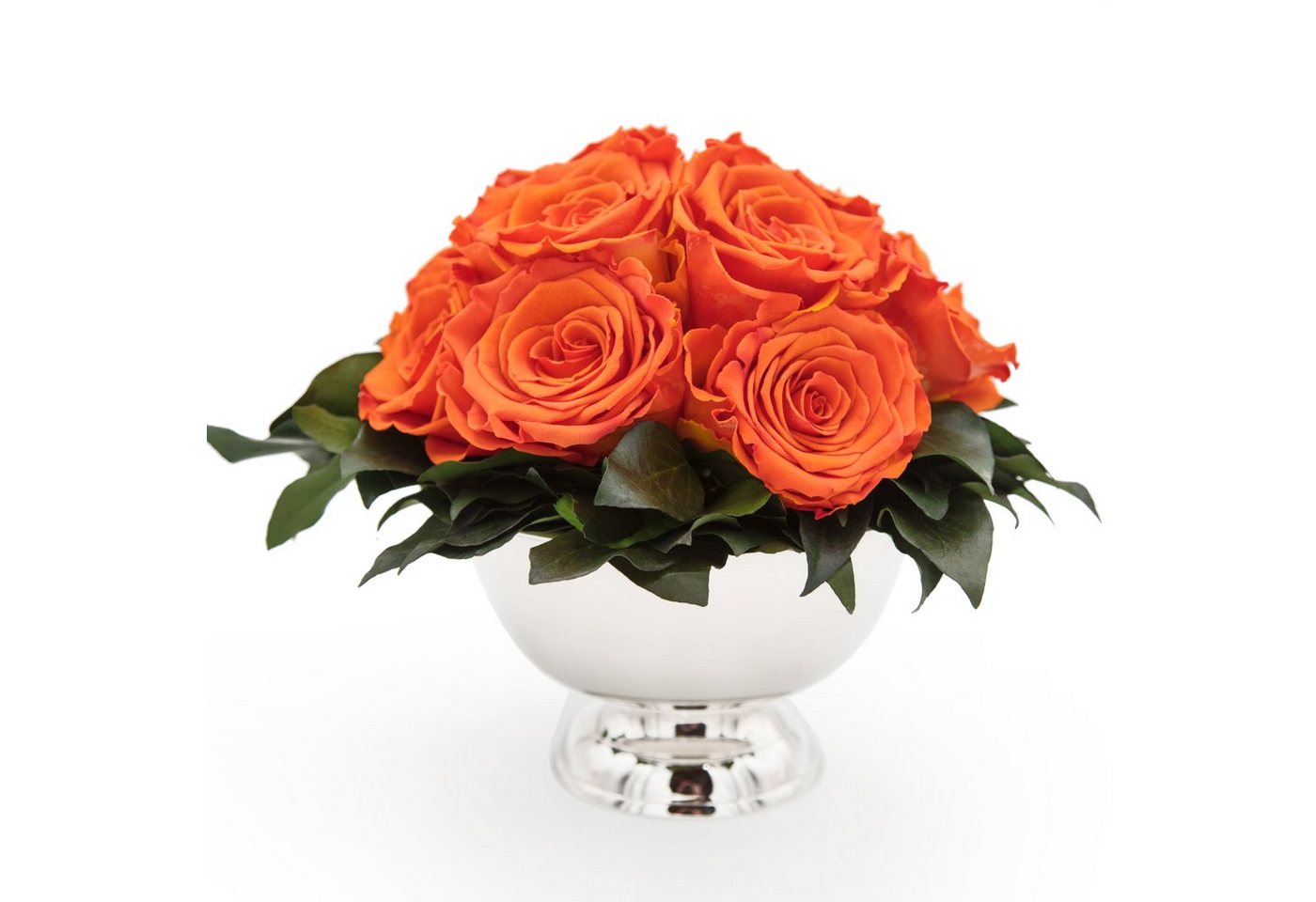 Kunstblume 11 Infinity Rosen in Blumenschale Blumenstrauß Rosenbox Rose, ROSEMARIE SCHULZ Heidelberg, Höhe 18 cm, Echte Blumen 3 Jahre haltbar, Geschenk für Frauen, Made in Germany Kunstblume 11 Infinity Rosen in Blumenschale Blumenstrauß Rosenbox Rose, ROSEMARIE SCHULZ Heidelberg, Höhe 18 cm, Echte Blumen 3 Jahre haltbar, Geschenk für Frauen, Made in Germany von ROSEMARIE SCHULZ Heidelberg