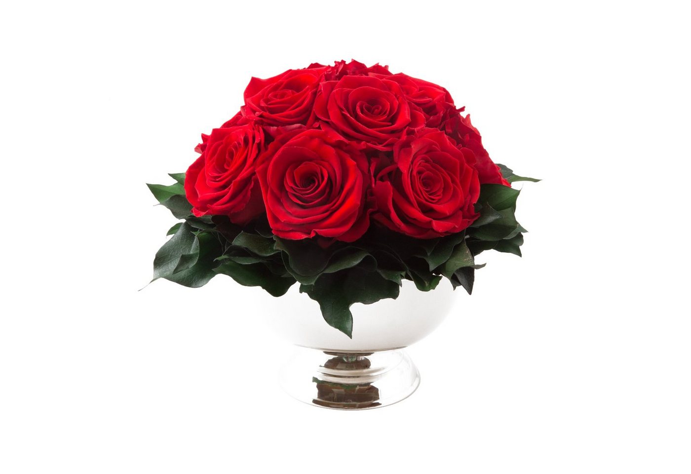 Kunstblume 11 Infinity Rosen in Blumenschale Blumenstrauß Rosenbox Rose, ROSEMARIE SCHULZ Heidelberg, Höhe 18 cm, Echte Blumen 3 Jahre haltbar, Geschenk für Frauen, Made in Germany Kunstblume 11 Infinity Rosen in Blumenschale Blumenstrauß Rosenbox Rose, ROSEMARIE SCHULZ Heidelberg, Höhe 18 cm, Echte Blumen 3 Jahre haltbar, Geschenk für Frauen, Made in Germany von ROSEMARIE SCHULZ Heidelberg