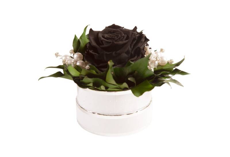 Kunstblume Infinity Rosenbox Diamonds and Pearls 1 infinity Rose Rose, ROSEMARIE SCHULZ Heidelberg, Höhe 10 cm, echte Blume die lange hält, Made in Germany von ROSEMARIE SCHULZ Heidelberg