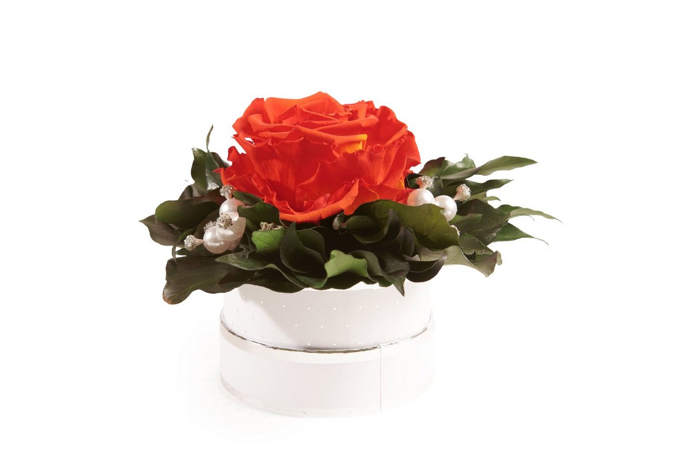 Kunstblume Infinity Rosenbox Diamonds and Pearls 1 infinity Rose Rose, ROSEMARIE SCHULZ Heidelberg, Höhe 10 cm, echte Blume die lange hält, Made in Germany Kunstblume Infinity Rosenbox Diamonds and Pearls 1 infinity Rose Rose, ROSEMARIE SCHULZ Heidelberg, Höhe 10 cm, echte Blume die lange hält, Made in Germany von ROSEMARIE SCHULZ Heidelberg