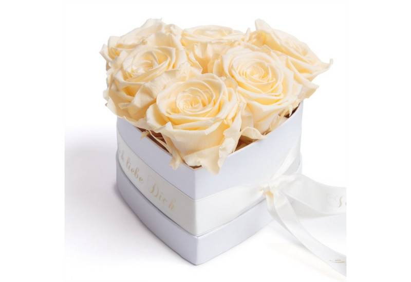 Kunstblume Infinity Rosen Box Herz 6 ewige Rosen Ich liebe Dich Geschenk Frau Rose, ROSEMARIE SCHULZ Heidelberg, Höhe 10 cm, Valentinstag Geschenk Frau Herz, Made in Germany von ROSEMARIE SCHULZ Heidelberg