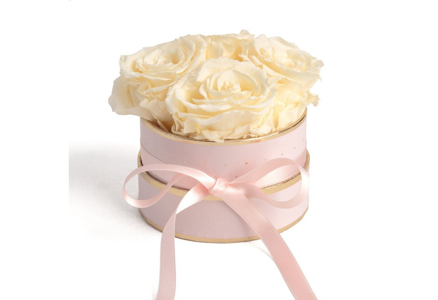 Kunstblume Infinity Rosenbox rosa rund 4 konservierte Rosen Geschenk für Frauen Rose, ROSEMARIE SCHULZ Heidelberg, Höhe 10 cm, echte konservierte Rosen, Made in Germany Kunstblume Infinity Rosenbox rosa rund 4 konservierte Rosen Geschenk für Frauen Rose, ROSEMARIE SCHULZ Heidelberg, Höhe 10 cm, echte konservierte Rosen, Made in Germany von ROSEMARIE SCHULZ Heidelberg