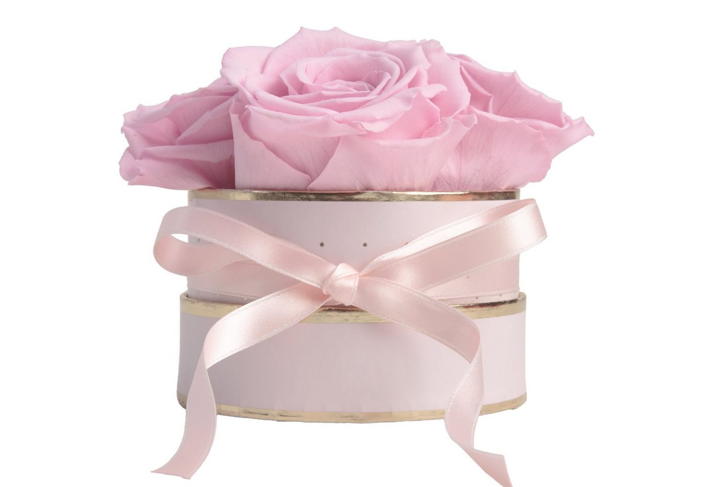 Kunstblume Infinity Rosenbox rosa rund 4 konservierte Rosen Geschenk für Frauen Rose, ROSEMARIE SCHULZ Heidelberg, Höhe 10 cm, echte konservierte Rosen von ROSEMARIE SCHULZ Heidelberg