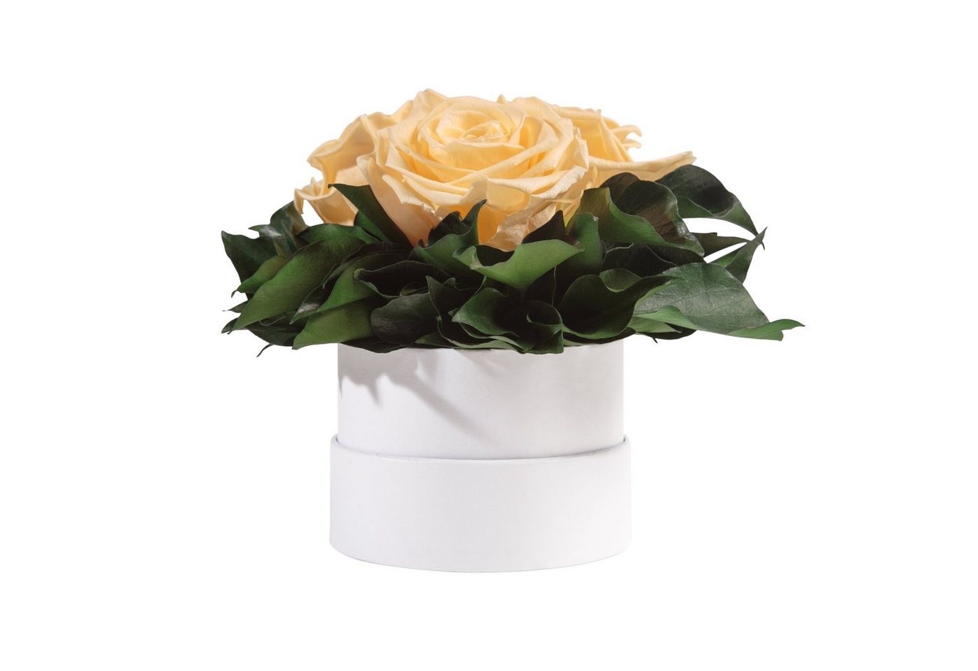 Kunstblume Infinity Rosenbox weiß rund 3 echte Rosen konserviert Rose, ROSEMARIE SCHULZ Heidelberg, Höhe 10 cm, Geschenk für Sie Rosen, Made in Germany Kunstblume Infinity Rosenbox weiß rund 3 echte Rosen konserviert Rose, ROSEMARIE SCHULZ Heidelberg, Höhe 10 cm, Geschenk für Sie Rosen, Made in Germany von ROSEMARIE SCHULZ Heidelberg