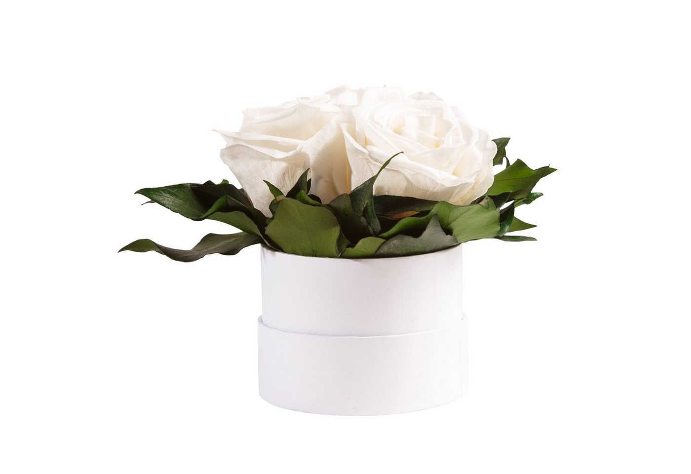 Kunstblume Infinity Rosenbox weiß rund 3 echte Rosen konserviert Rose, ROSEMARIE SCHULZ Heidelberg, Höhe 10 cm, Geschenk für Sie Rosen von ROSEMARIE SCHULZ Heidelberg