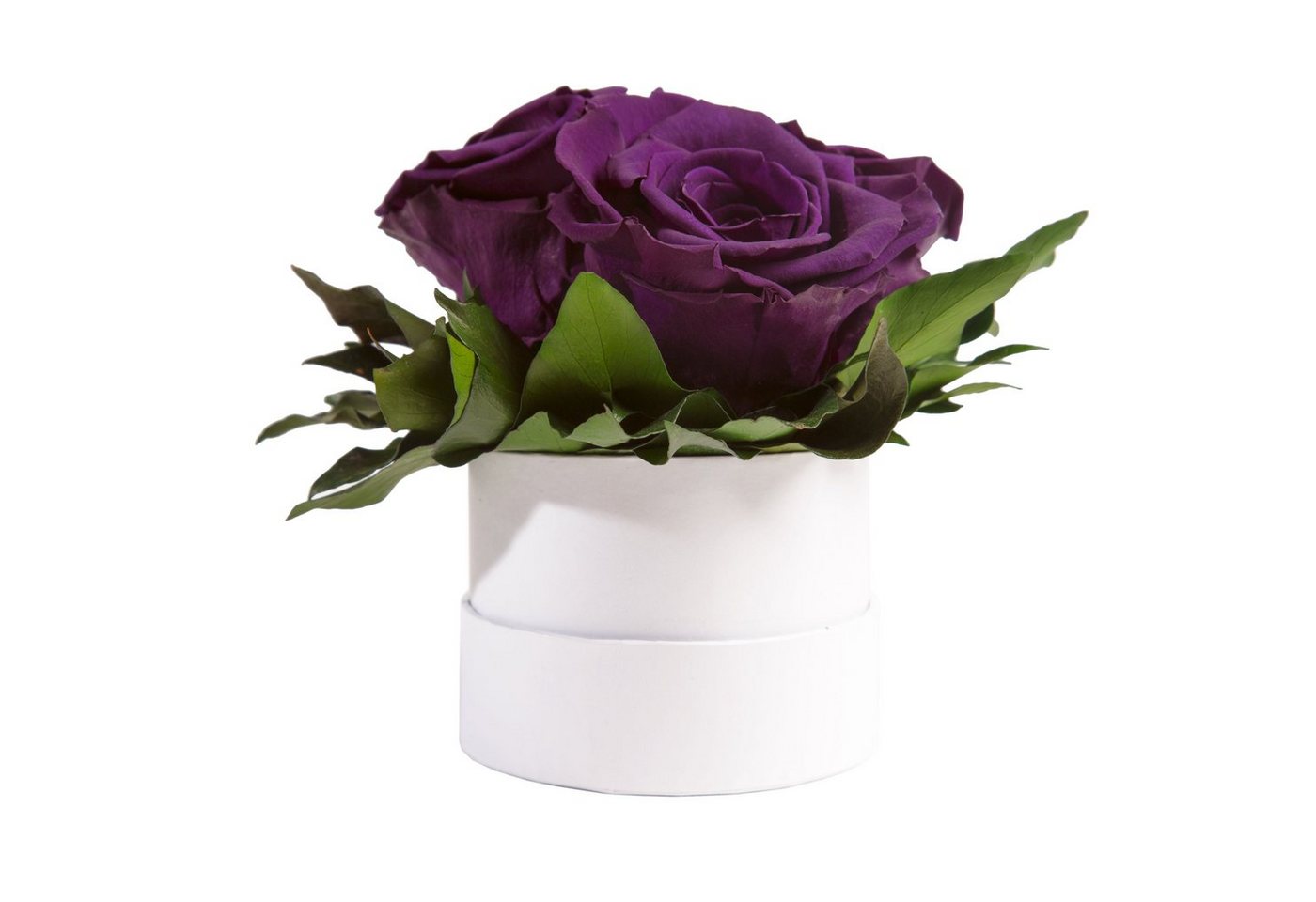 Kunstblume Infinity Rosenbox weiß rund 3 echte Rosen konserviert Rose, ROSEMARIE SCHULZ Heidelberg, Höhe 10 cm, Geschenk für Sie Rosen, Made in Germany Kunstblume Infinity Rosenbox weiß rund 3 echte Rosen konserviert Rose, ROSEMARIE SCHULZ Heidelberg, Höhe 10 cm, Geschenk für Sie Rosen, Made in Germany von ROSEMARIE SCHULZ Heidelberg