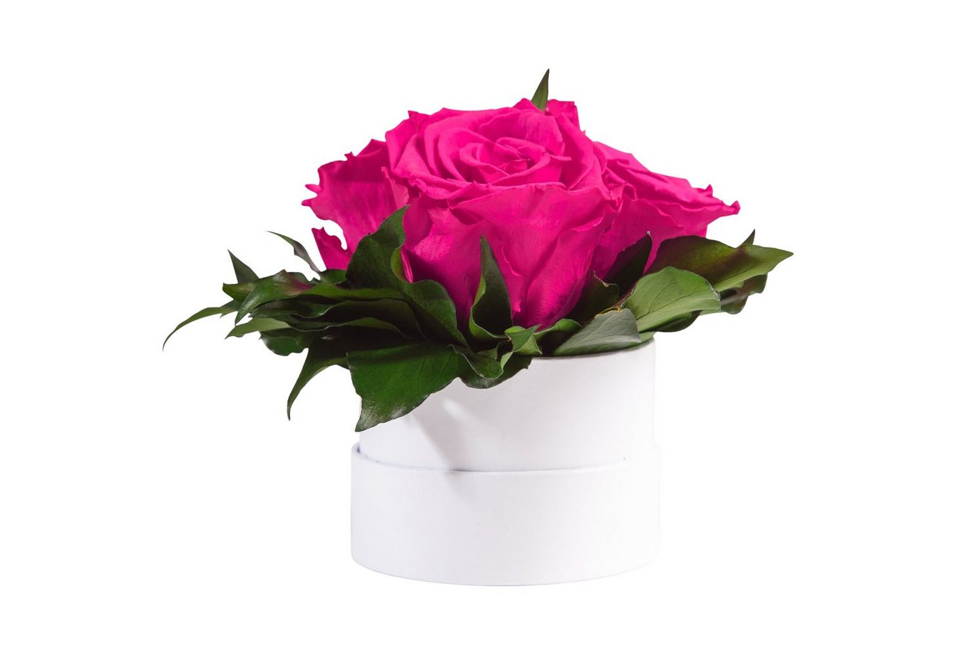 Kunstblume Infinity Rosenbox weiß rund 3 echte Rosen konserviert Rose, ROSEMARIE SCHULZ Heidelberg, Höhe 10 cm, Geschenk für Sie Rosen von ROSEMARIE SCHULZ Heidelberg