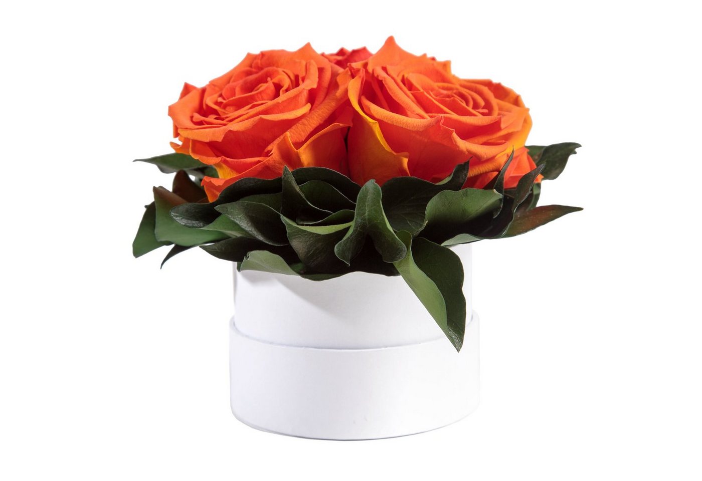 Kunstblume Infinity Rosenbox weiß rund 3 echte Rosen konserviert Rose, ROSEMARIE SCHULZ Heidelberg, Höhe 10 cm, Geschenk für Sie Rosen von ROSEMARIE SCHULZ Heidelberg